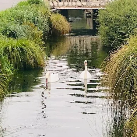 La Chaumiere Des 2 Cygnes-spa- Wifi-parking-calme Abbeville