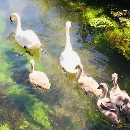 La Chaumiere Des 2 Cygnes 펜션 아브빌르